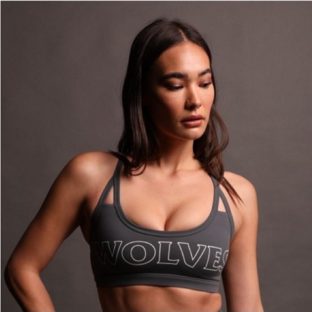 Darc Sport Hardcore Georgia Sports Bra Wolf Gray Size Small NWT 218/500